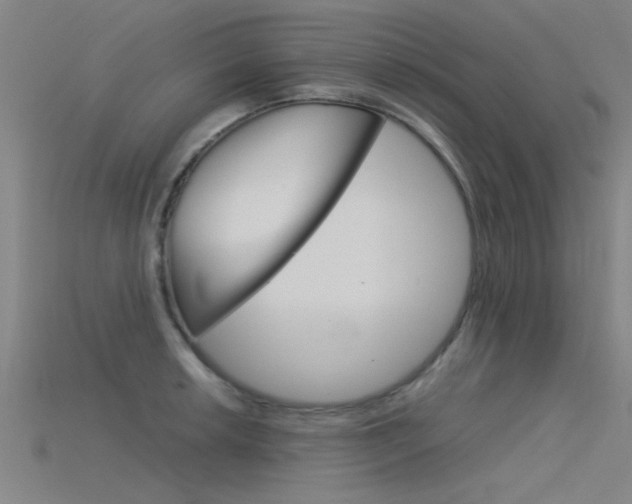 X0000115821042200911131102
