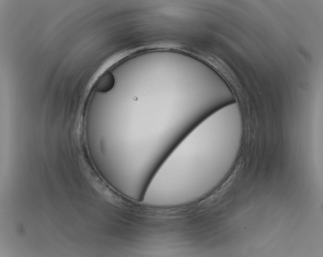 X0000115821044200911131102