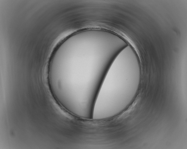 X0000115821045200911131102