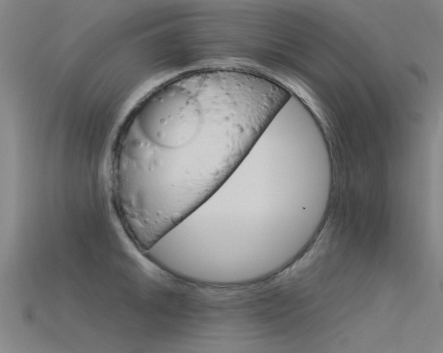 X0000115821046200911131102
