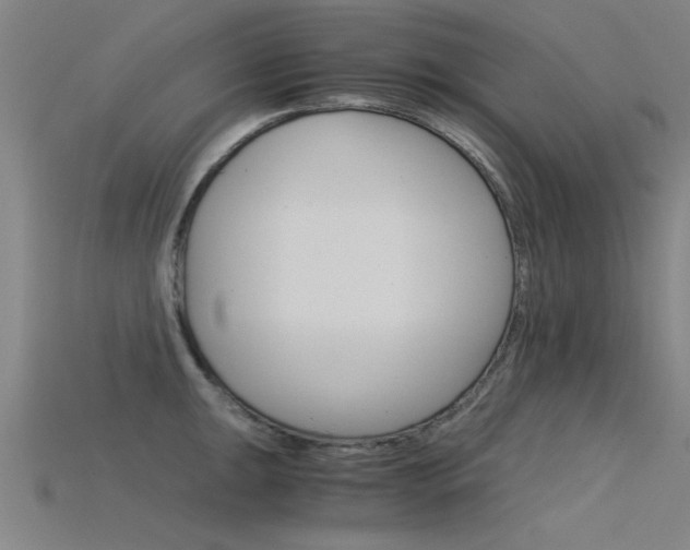 X0000115821047200911131102