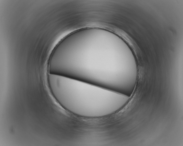 X0000115821048200911131102