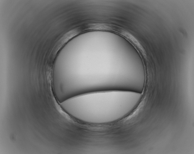 X0000115821049200911131102