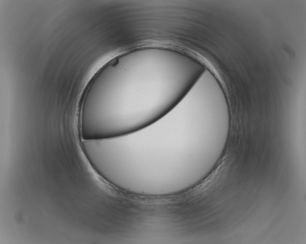 X0000115821050200911131102