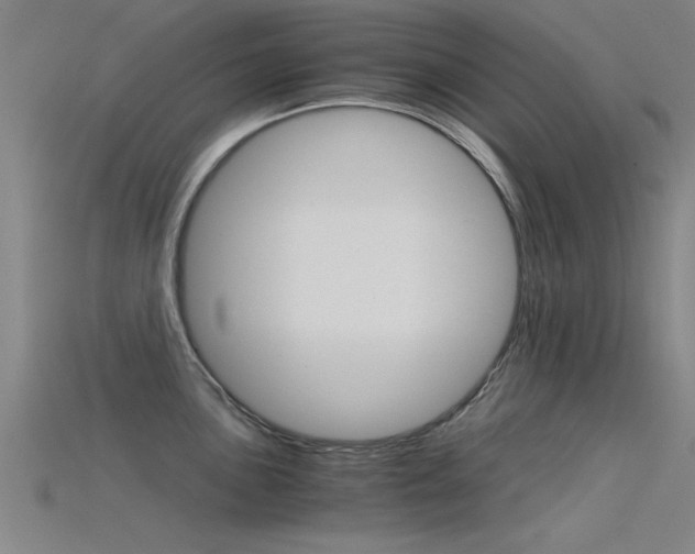 X0000115821051200911131102