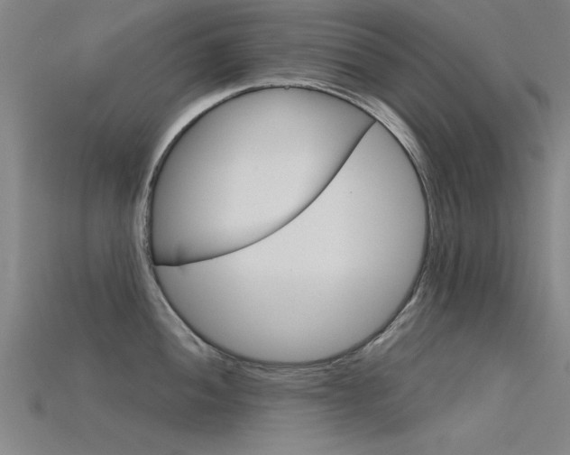 X0000115821052200911131102