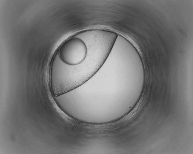 X0000115821054200911131102