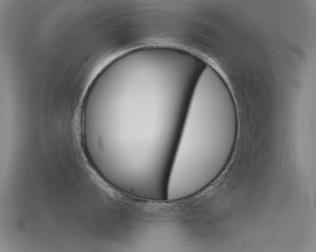 X0000115821056200911131102