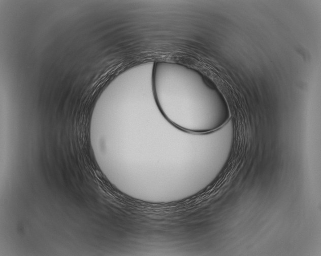 X0000115821060200911131101