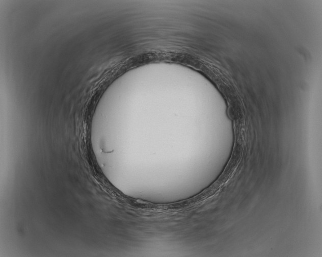 X0000115821061200911131101