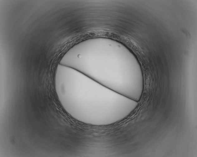X0000115821062200911131101