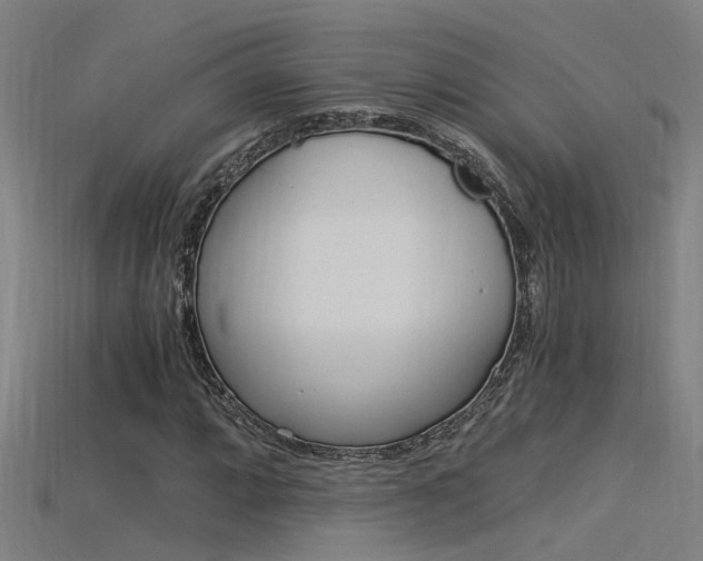 X0000115821064200911131101
