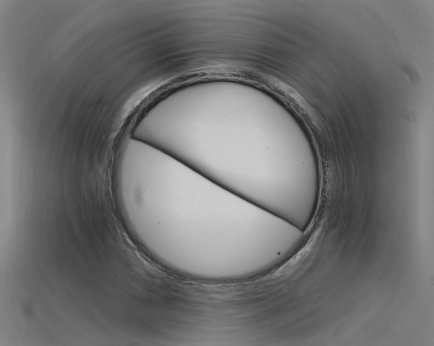X0000115821066200911131101