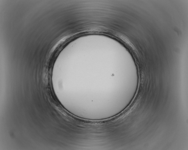 X0000115821067200911131101