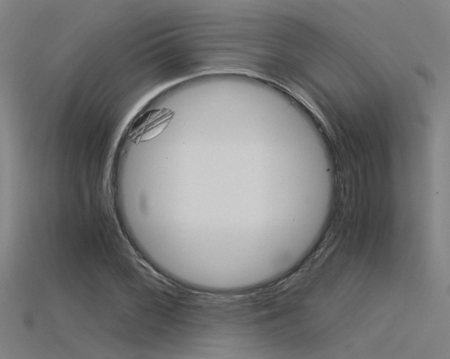 X0000115821068200911131101