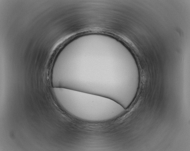X0000115821070200911131101