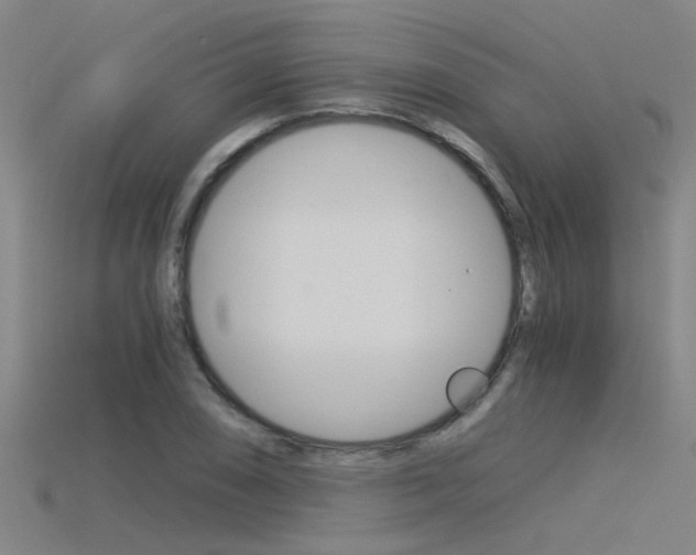 X0000115821074200911131101