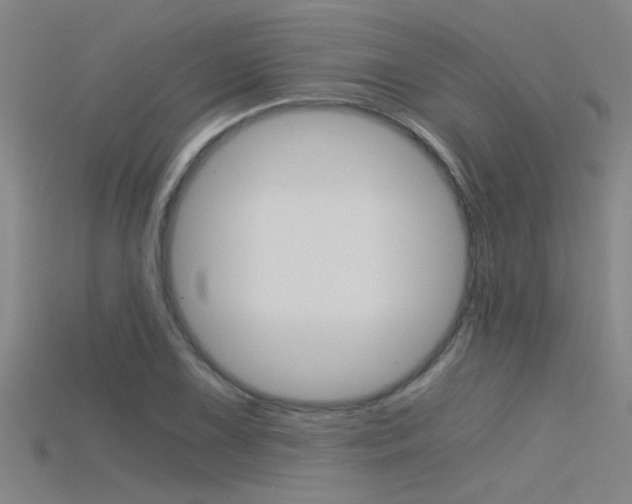 X0000115821075200911131101