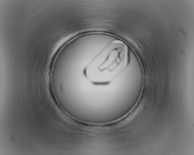 X0000115821077200911131101