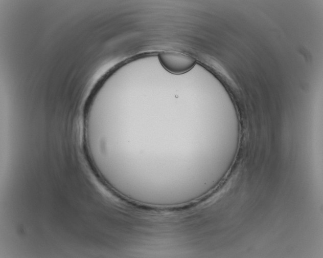 X0000115821079200911131101