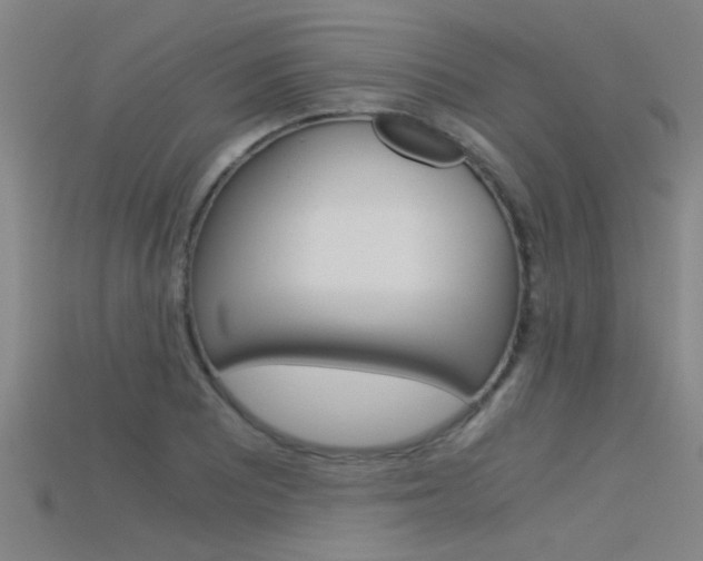 X0000115821081200911131101
