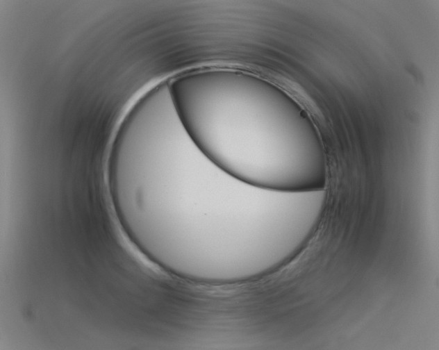 X0000115821084200911131101