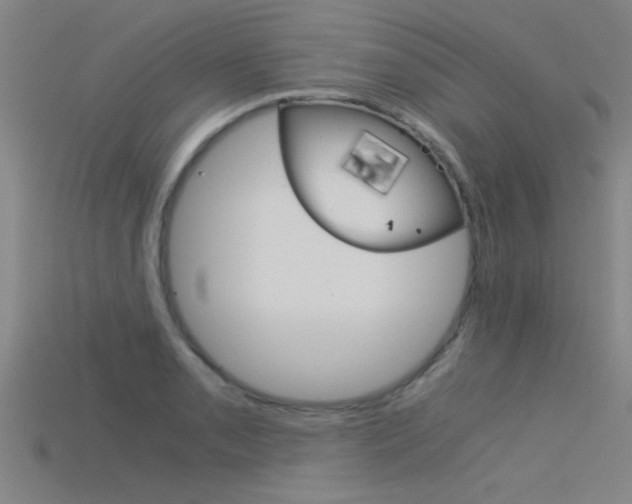 X0000115821085200911131101