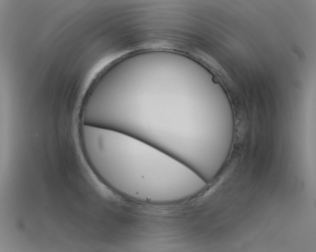 X0000115821086200911131101