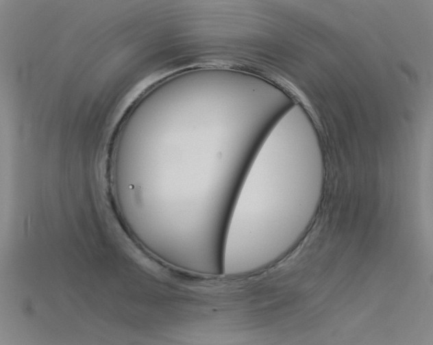 X0000115821091200911131101