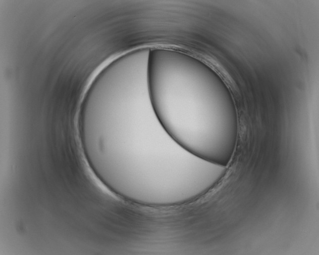 X0000115821092200911131101