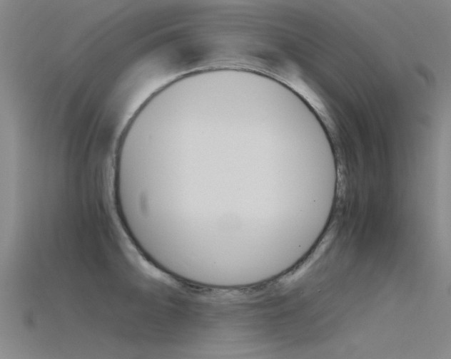 X0000115821094200911131101