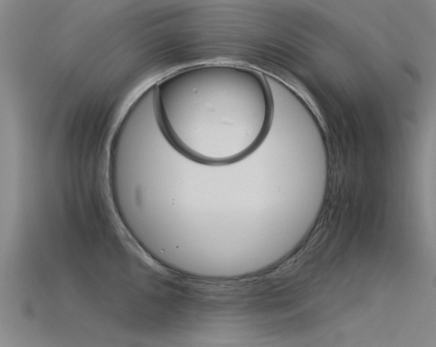X0000115821096200911131101