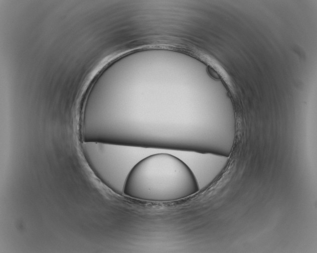 X0000115821099200911131101