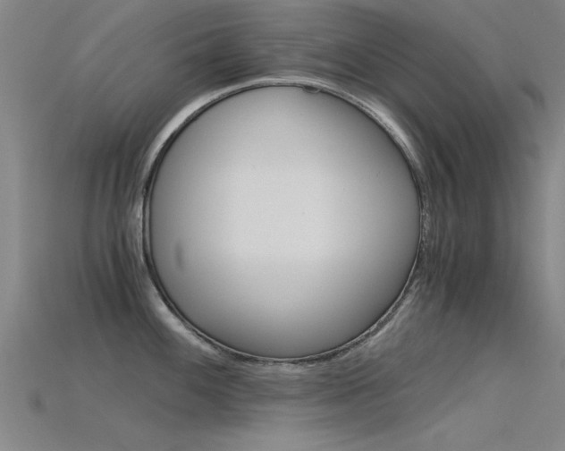 X0000115821100200911131101