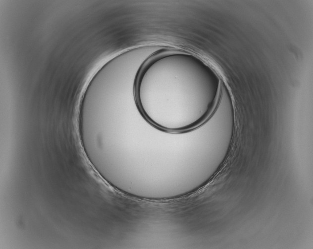X0000115821104200911131101