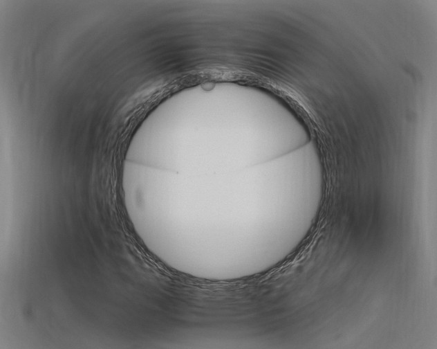 X0000115821111200911131100