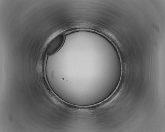 X0000115821114200911131100