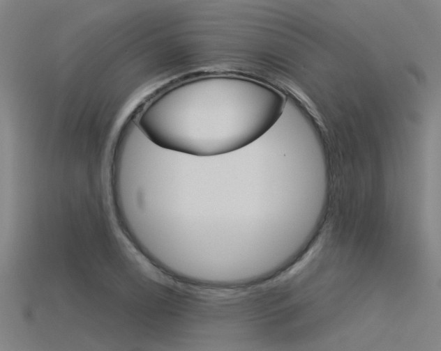 X0000115821122200911131100