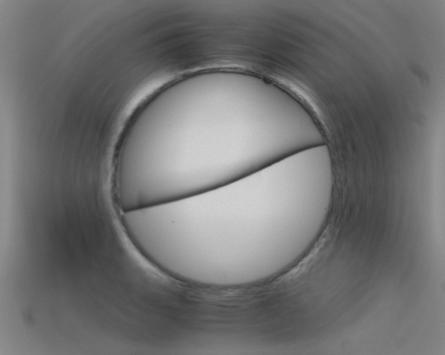 X0000115821135200911131100