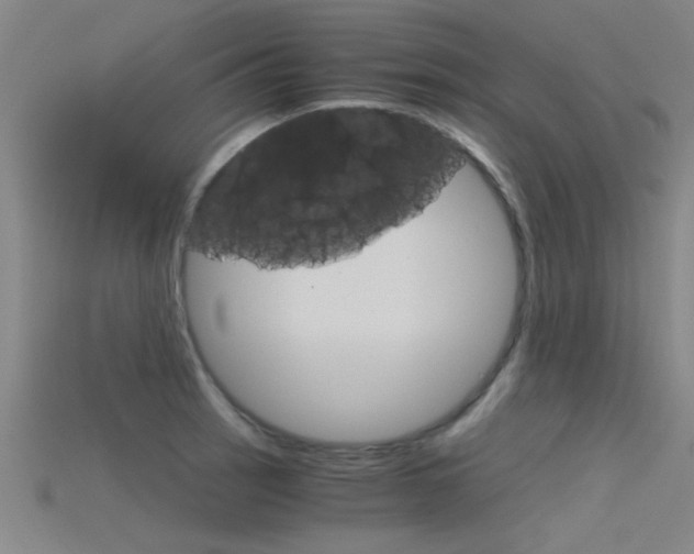 X0000115821137200911131100