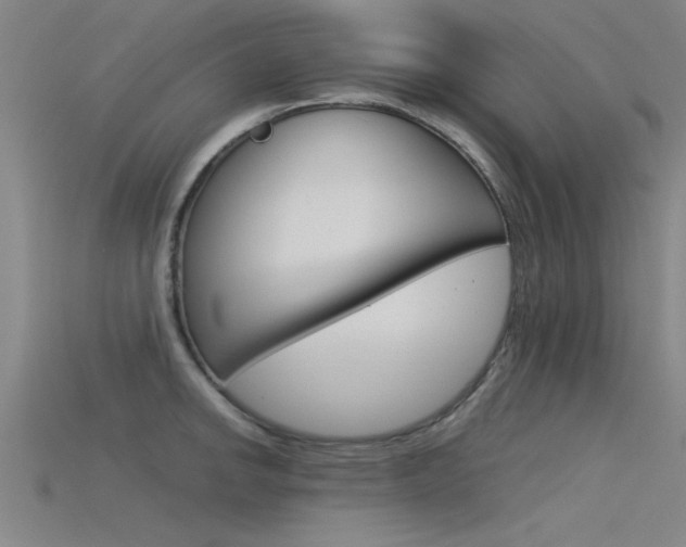 X0000115821142200911131101