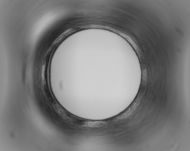 X0000115821150200911131101