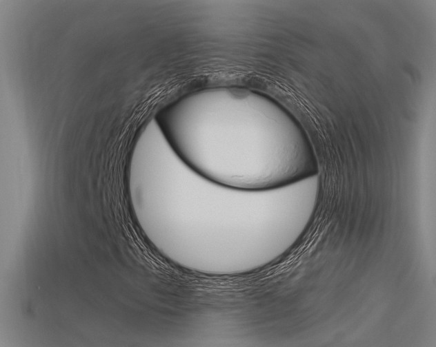 X0000115821153200911131100