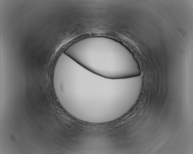 X0000115821160200911131100