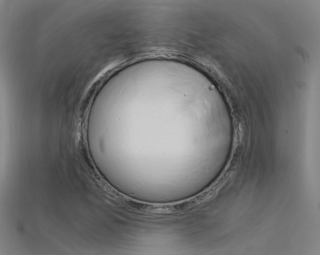 X0000115821165200911131100