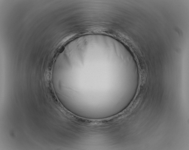 X0000115821169200911131100