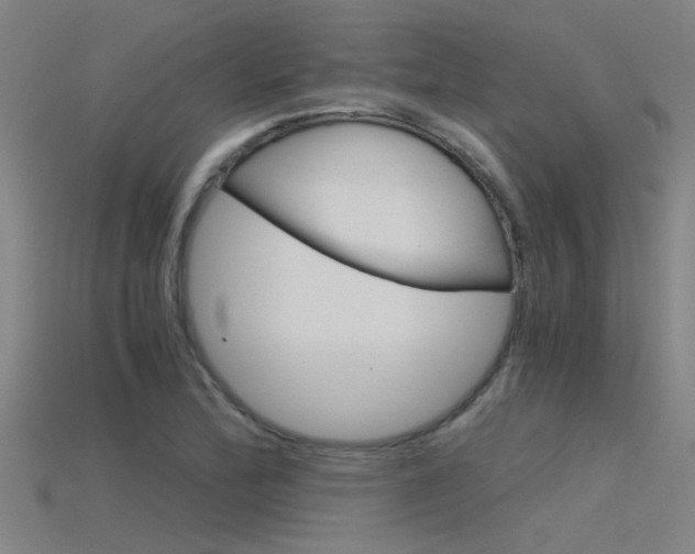 X0000115821172200911131100