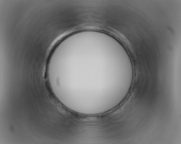 X0000115821174200911131100