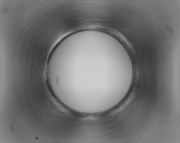 X0000115821178200911131100