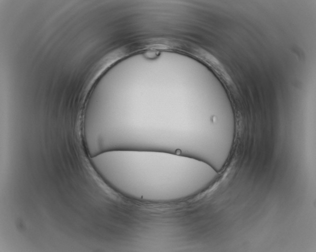 X0000115821186200911131100